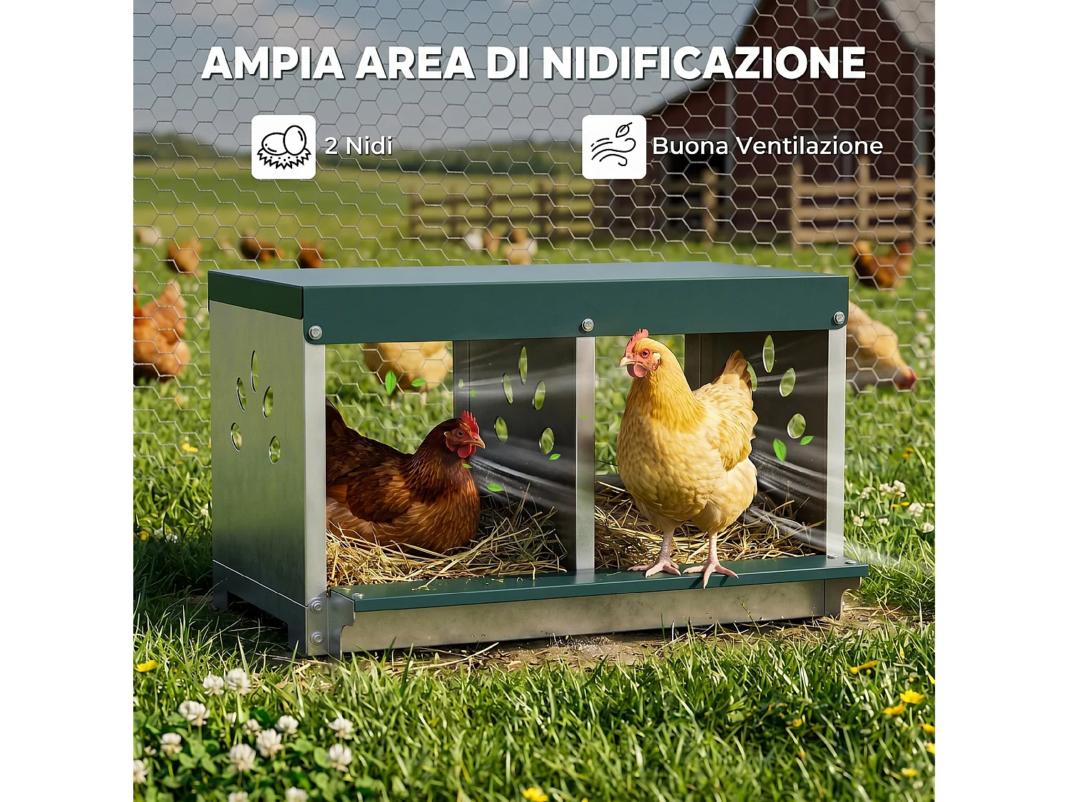 Nido per galline ovaiole a 2 aree con base e tetto in acciaio argento