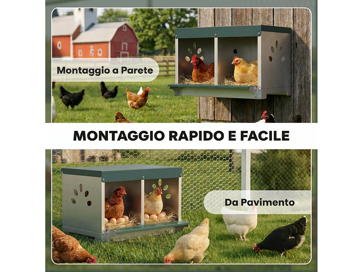 Nido per galline ovaiole a 2 aree con base e tetto in acciaio argento