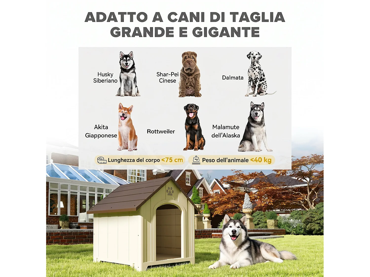 Cuccia per cani in pp con tetto inclinato e prese d'aria beige marrone
