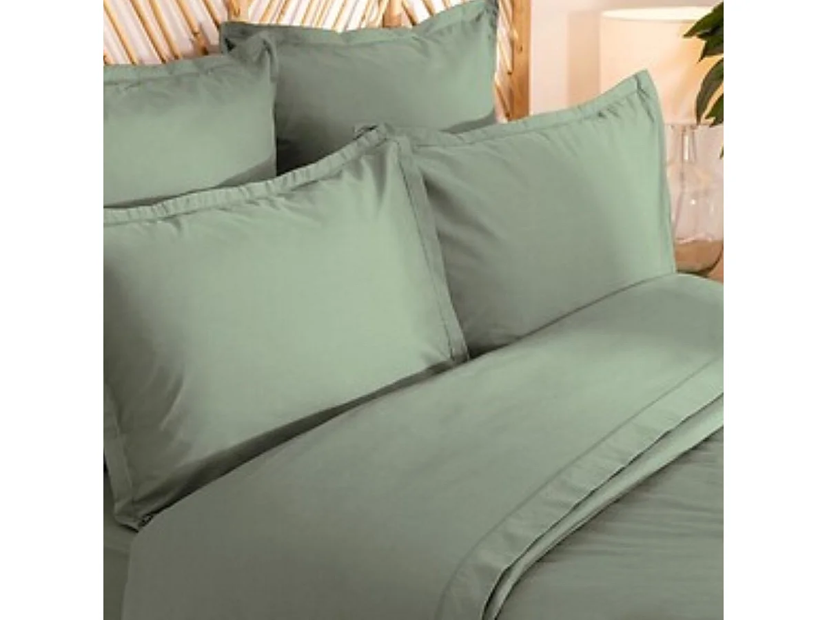 Parure de Lit 3 Pièces "Percale" 260x240cm Tilleul