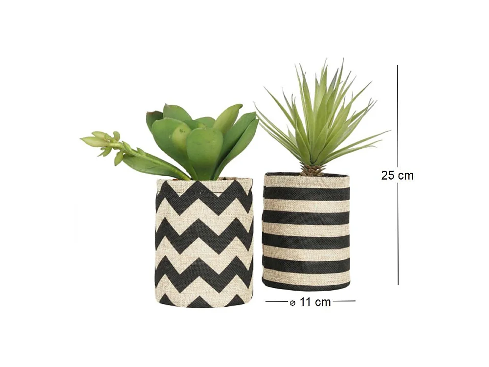 Succulentes dans pot en toile de jute 26 cm (Lot de 2)