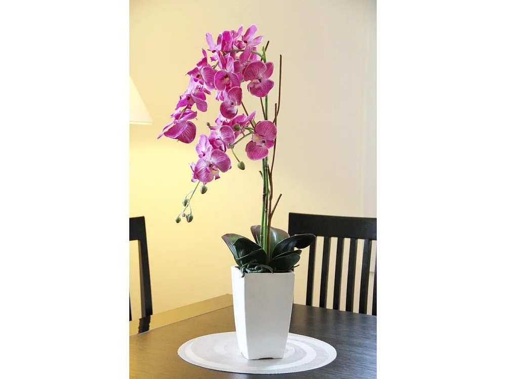 Orchidée fuchsia en pot blanc Fuchsia