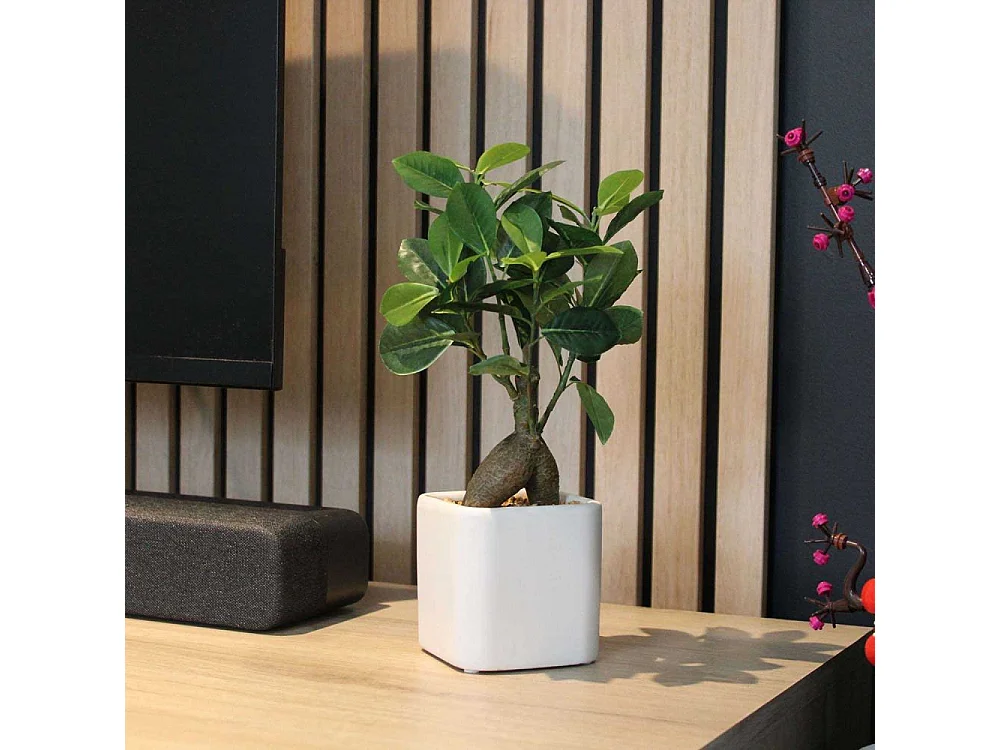 Bonsai ficus elastica pot en céramique 28 cm