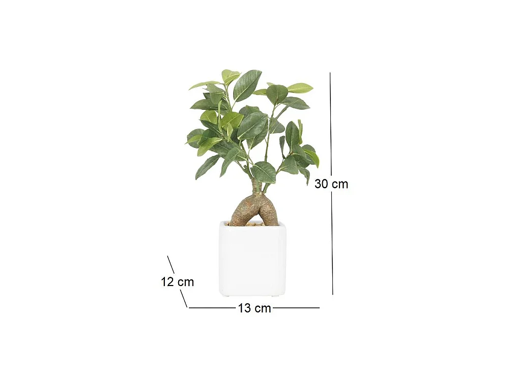 Bonsai ficus elastica pot en céramique 28 cm