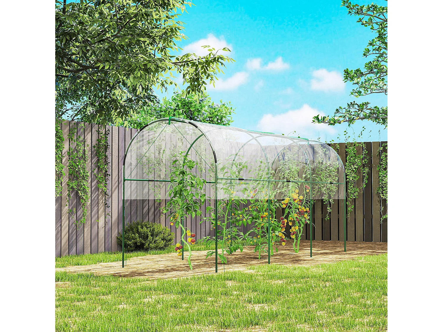 Outsunny Tomato Greenhouse with Top Tap, Pointed Bottom and Guy Ropes, Clear