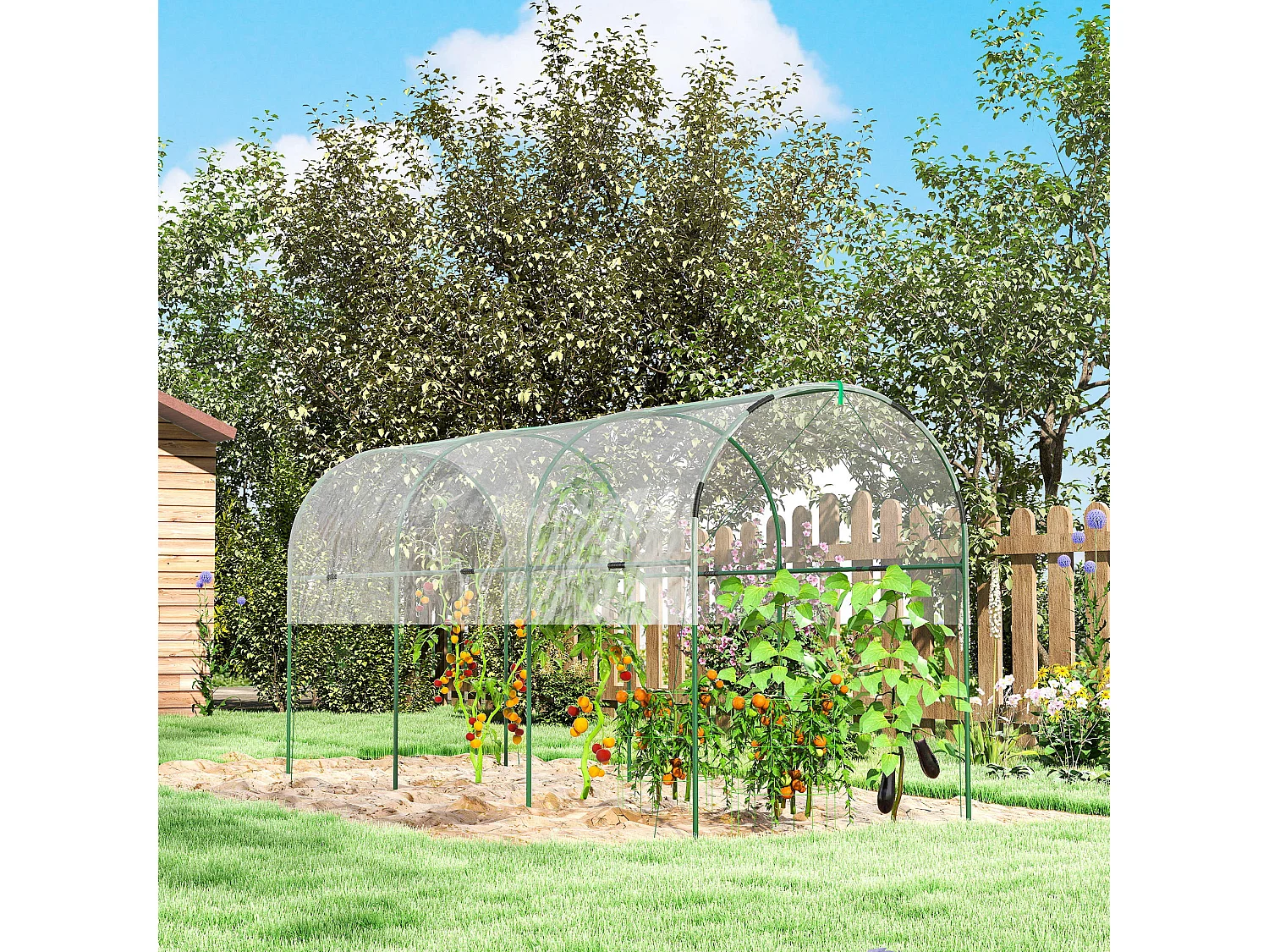 Outsunny Tomato Greenhouse with Top Tap, Pointed Bottom and Guy Ropes, Clear