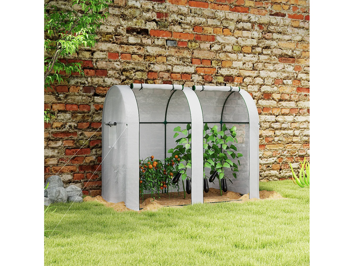 Outsunny Tomato Greenhouse with 2 Roll-up Doors, 185 x 94 x 150cm, White
