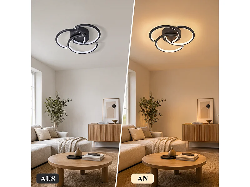 NETTLIFE LED-Deckenleuchte 24W 3000K Ringe schwarz Metall 60cm
