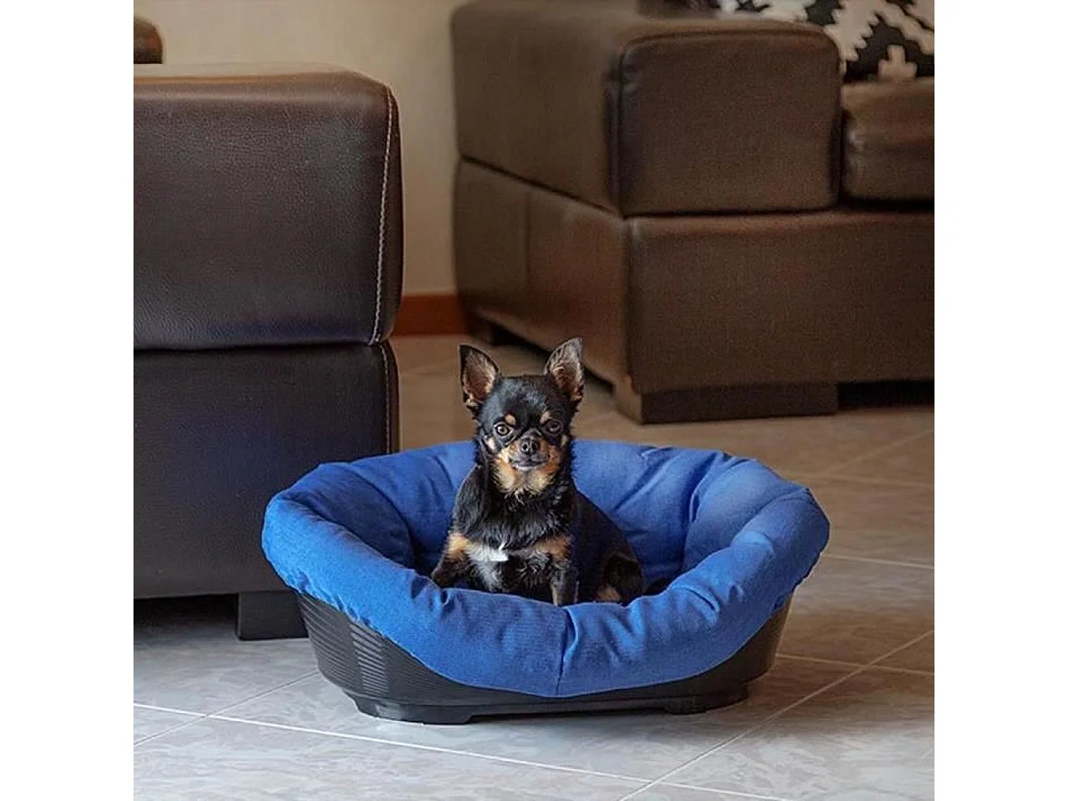 FERPLAST Sofa 2 Ovaal Huisdierenbed voor Kat en Kleine Hond met Kussen, Maat S
