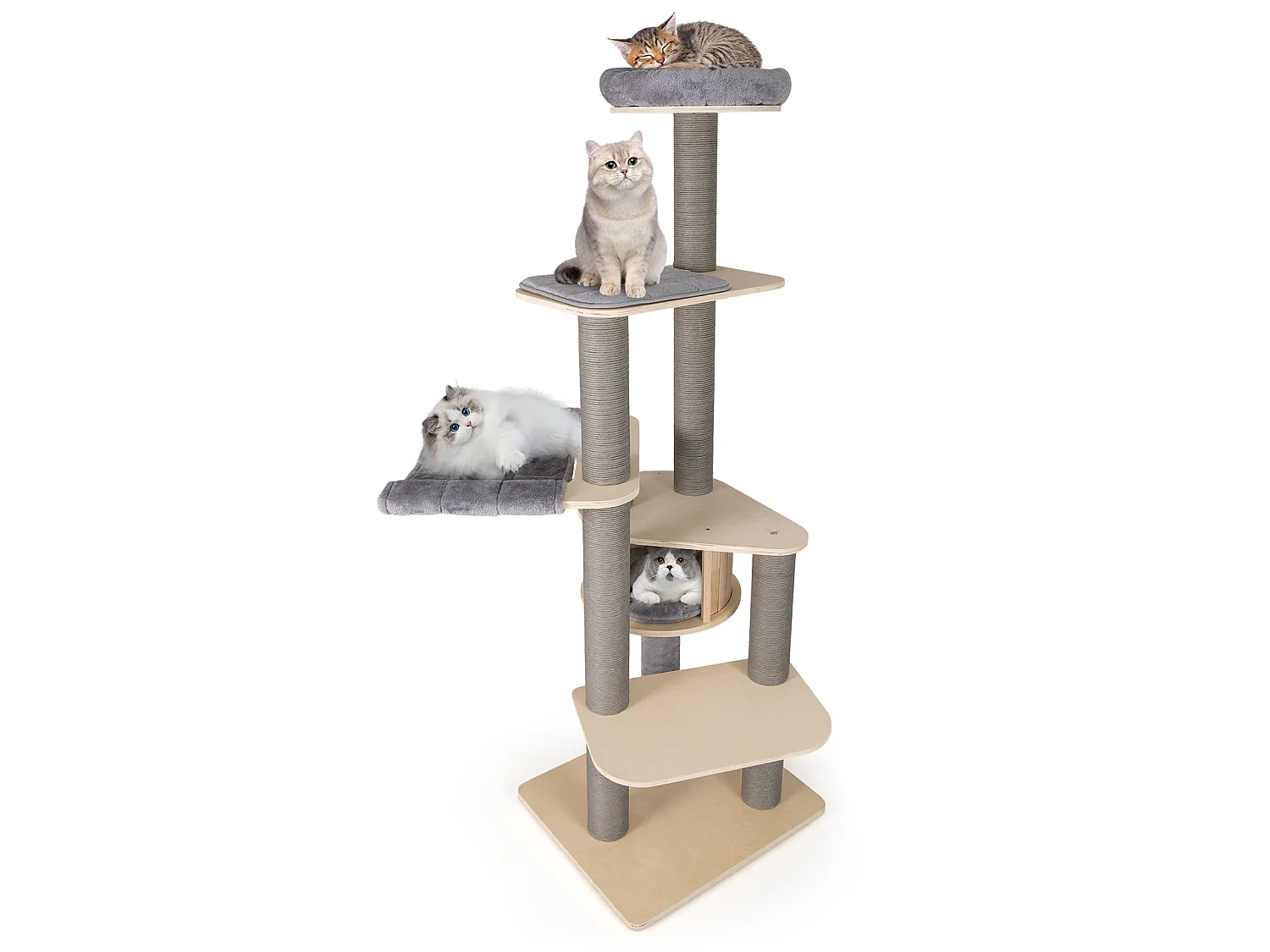 Torre per gatti a più piani con casetta