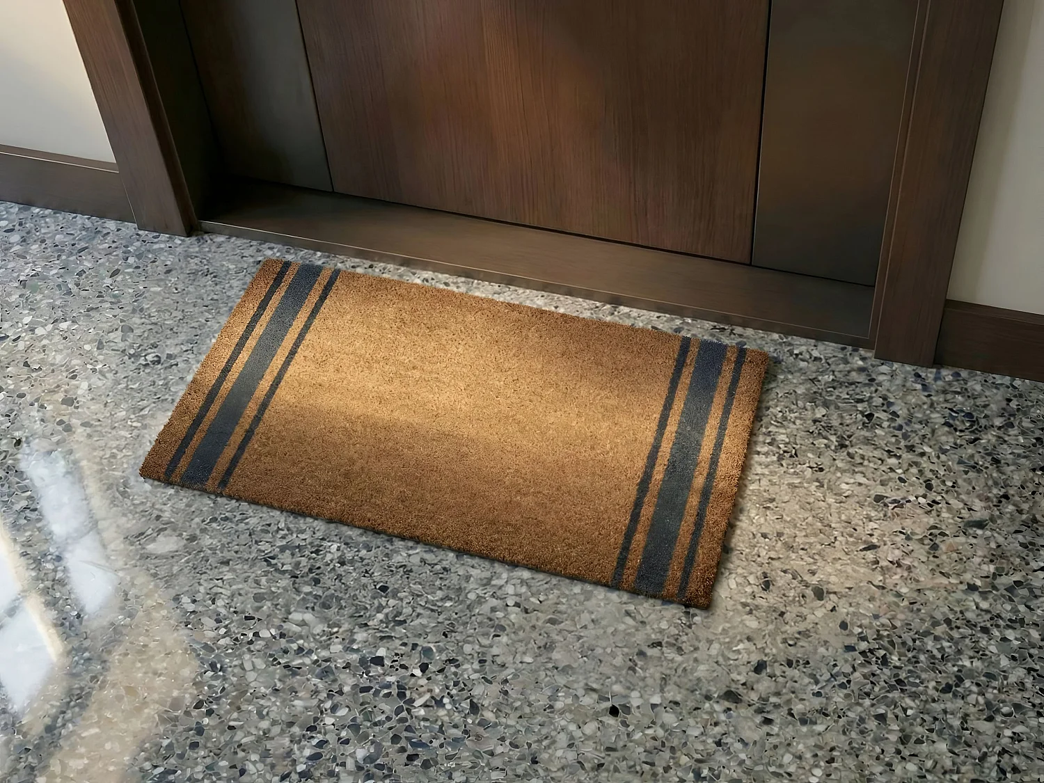 Paillasson PORTAGE Naturel 40 x 60 cm Fibre de coco