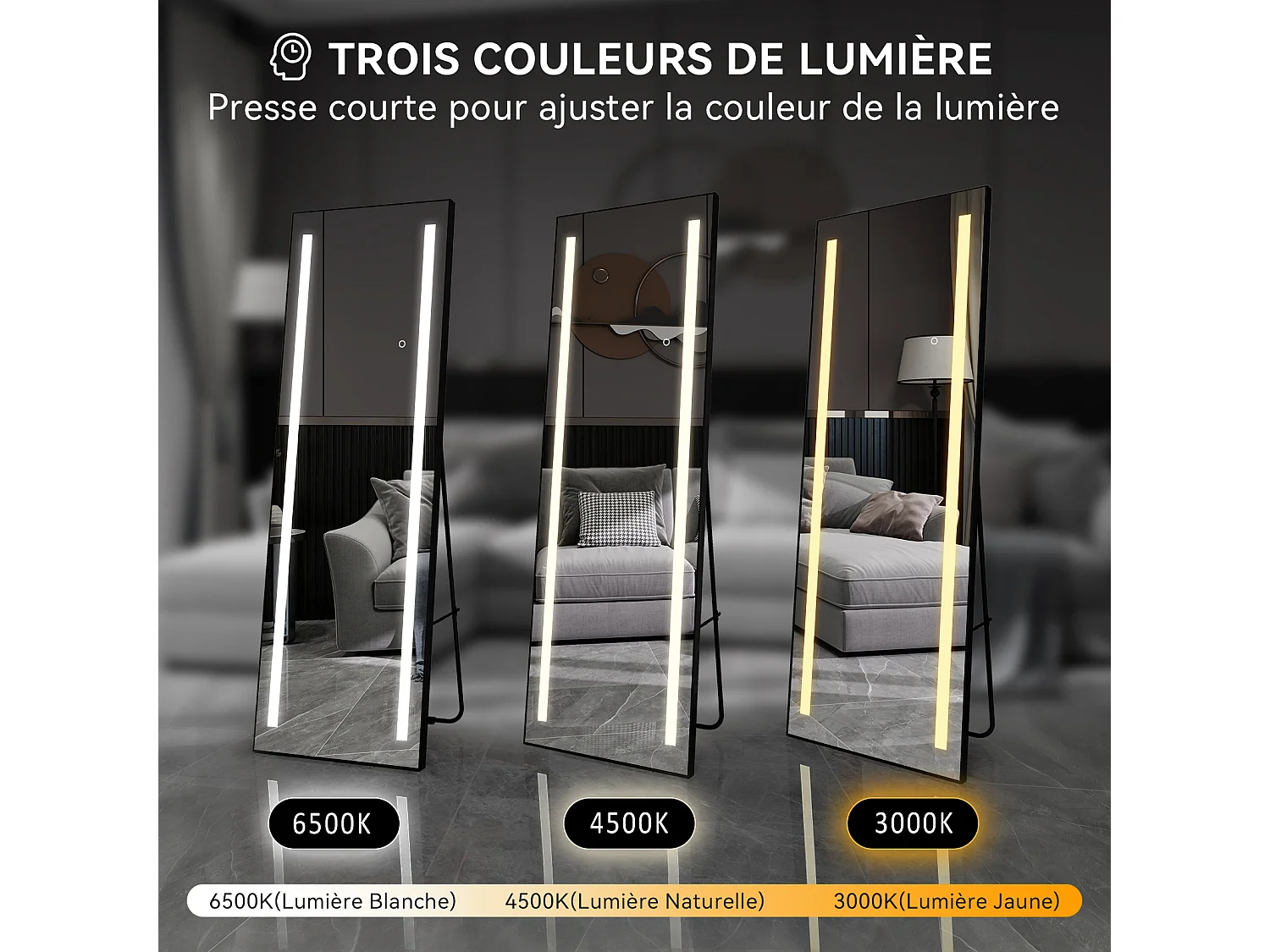 Miroir pleine longueur - Puluomis - Miroir avec éclairage LED, 3 modes de lumière, 3 façons d'installation, fonction mémoire - Noir