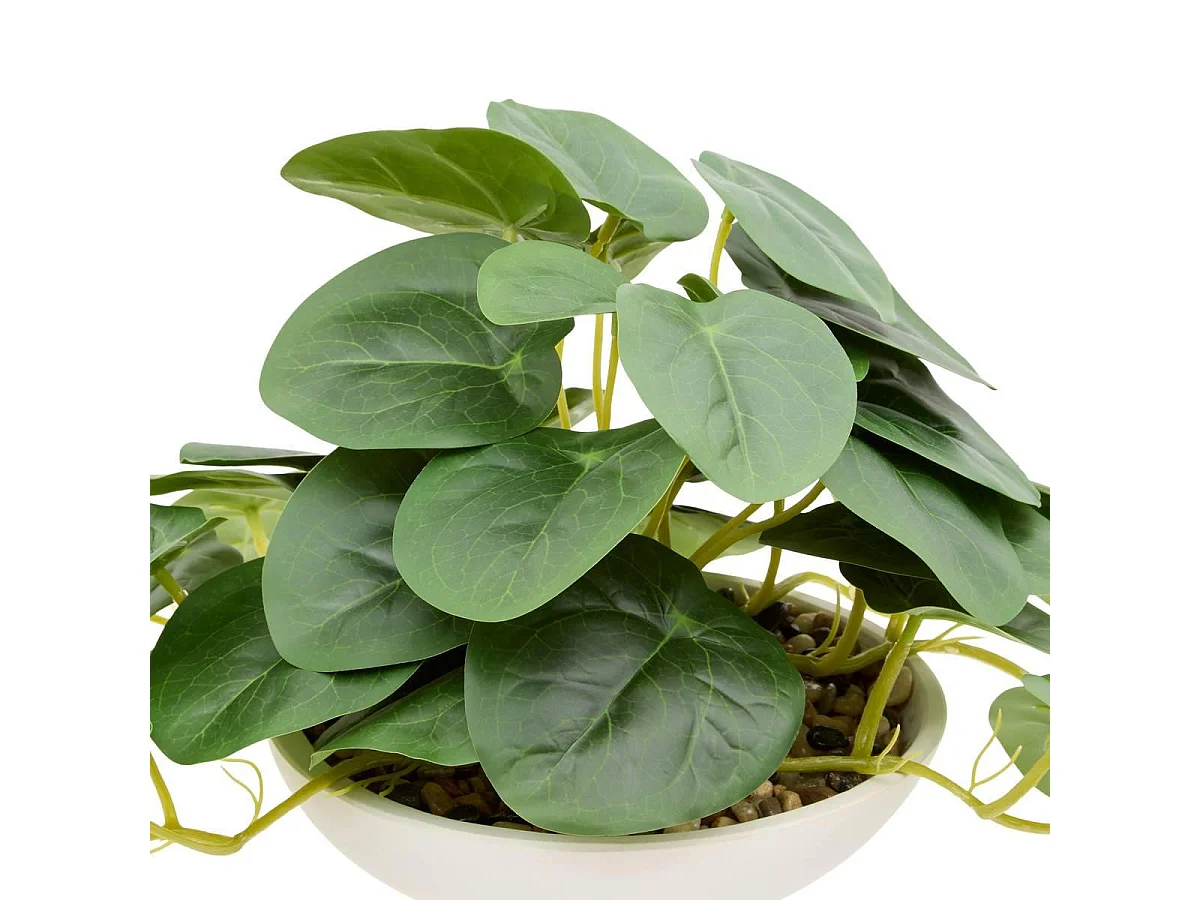 Plante Artificielle Pilea "Nippo" 29cm Blanc