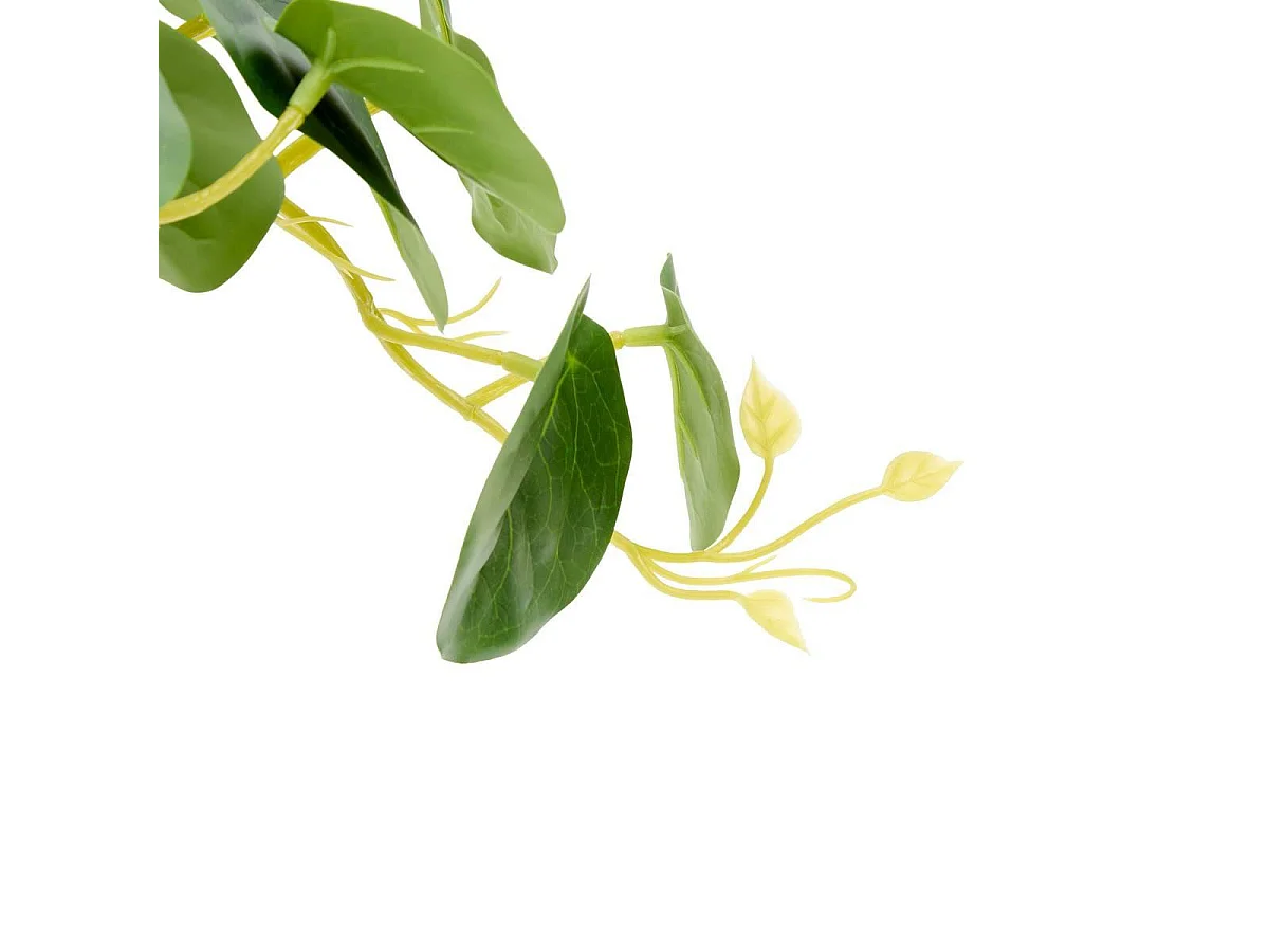 Plante Artificielle Pilea "Nippo" 29cm Blanc