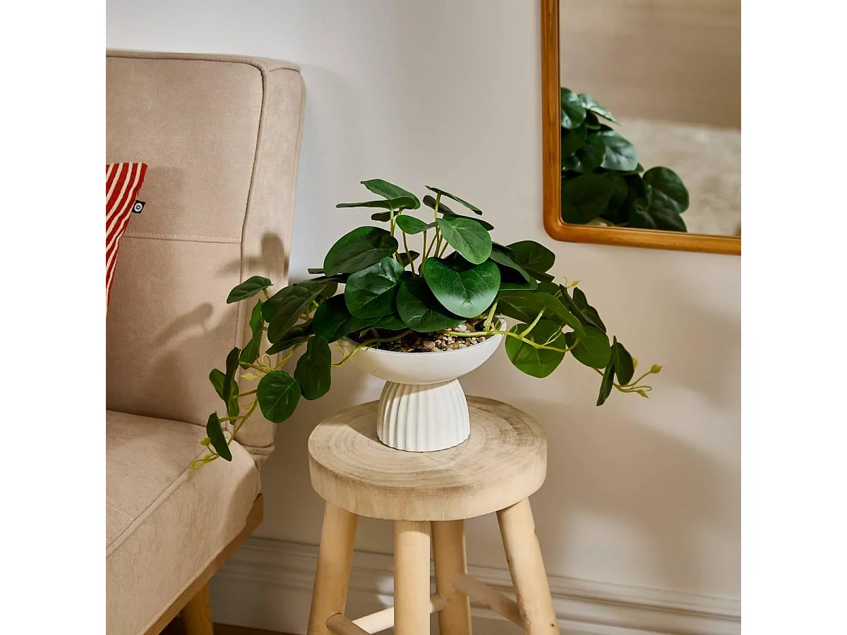 Plante Artificielle Pilea "Nippo" 29cm Blanc