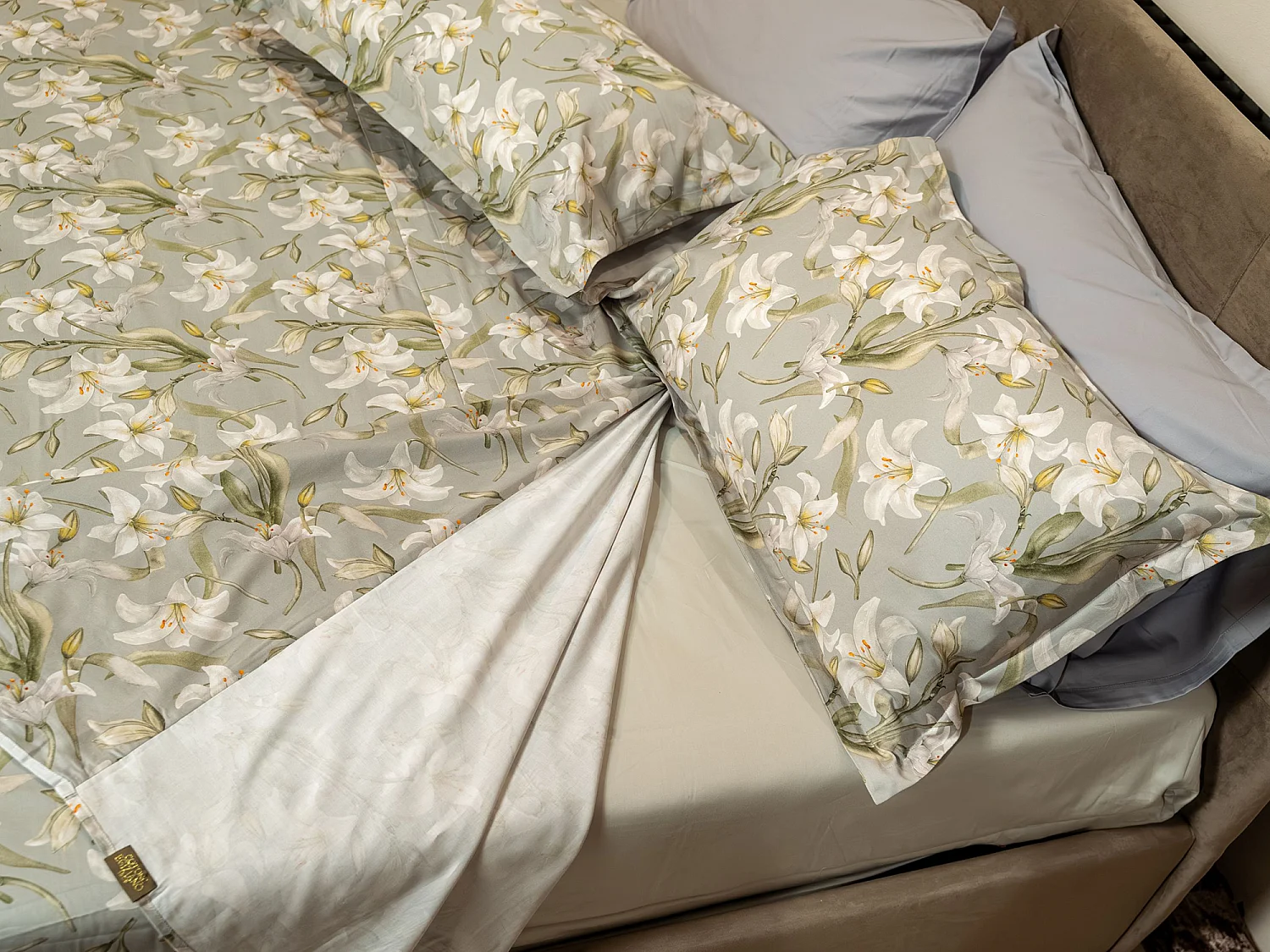 Couvre-lit Double Saha, Taie Incluse, 300x250 cm Gris, en Satin, Lavable en Machine