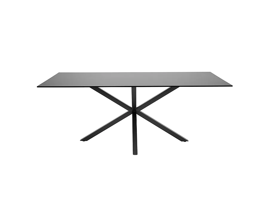 Aster Black Dining Table - Rectangular Toughened Glass Top, Seats 6