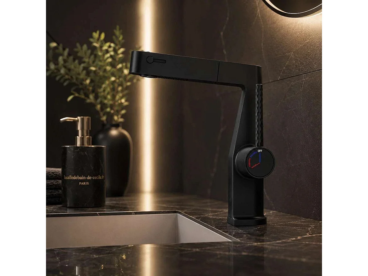 Moderne Zwarte LED Wastafelkraan met Uittrekbare Handdouche - Thorn