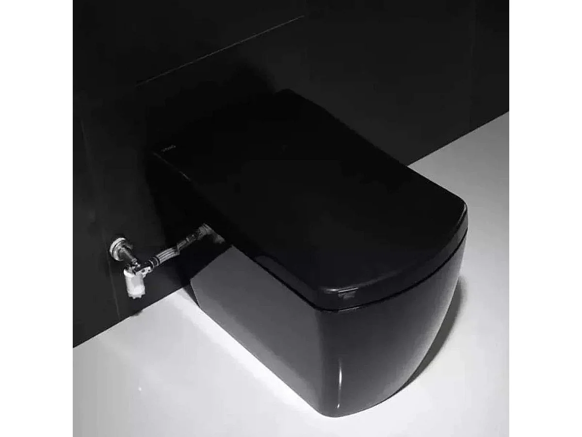 Zwarte Slimme Japanse Toilet met Verwarmde Zitting en Wasfuncties
