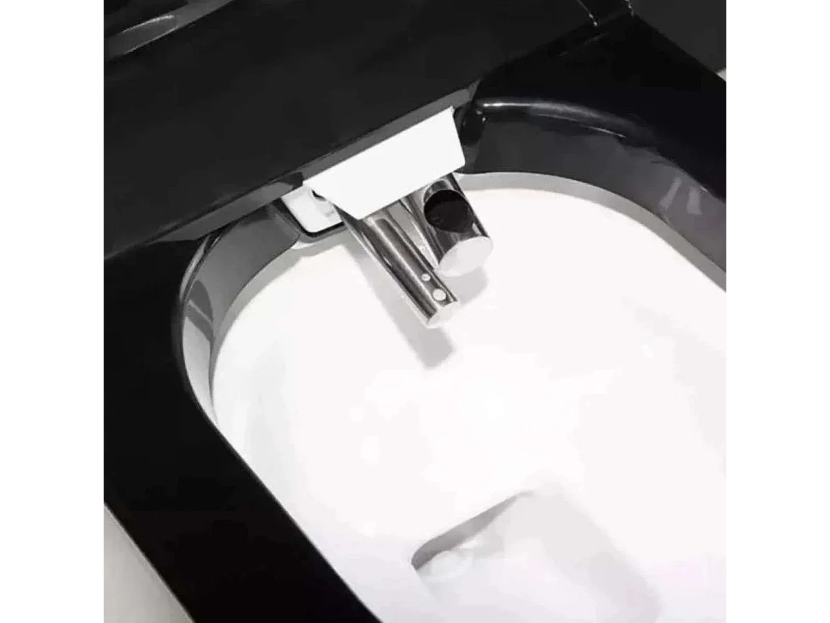 Zwarte Slimme Japanse Toilet met Verwarmde Zitting en Wasfuncties