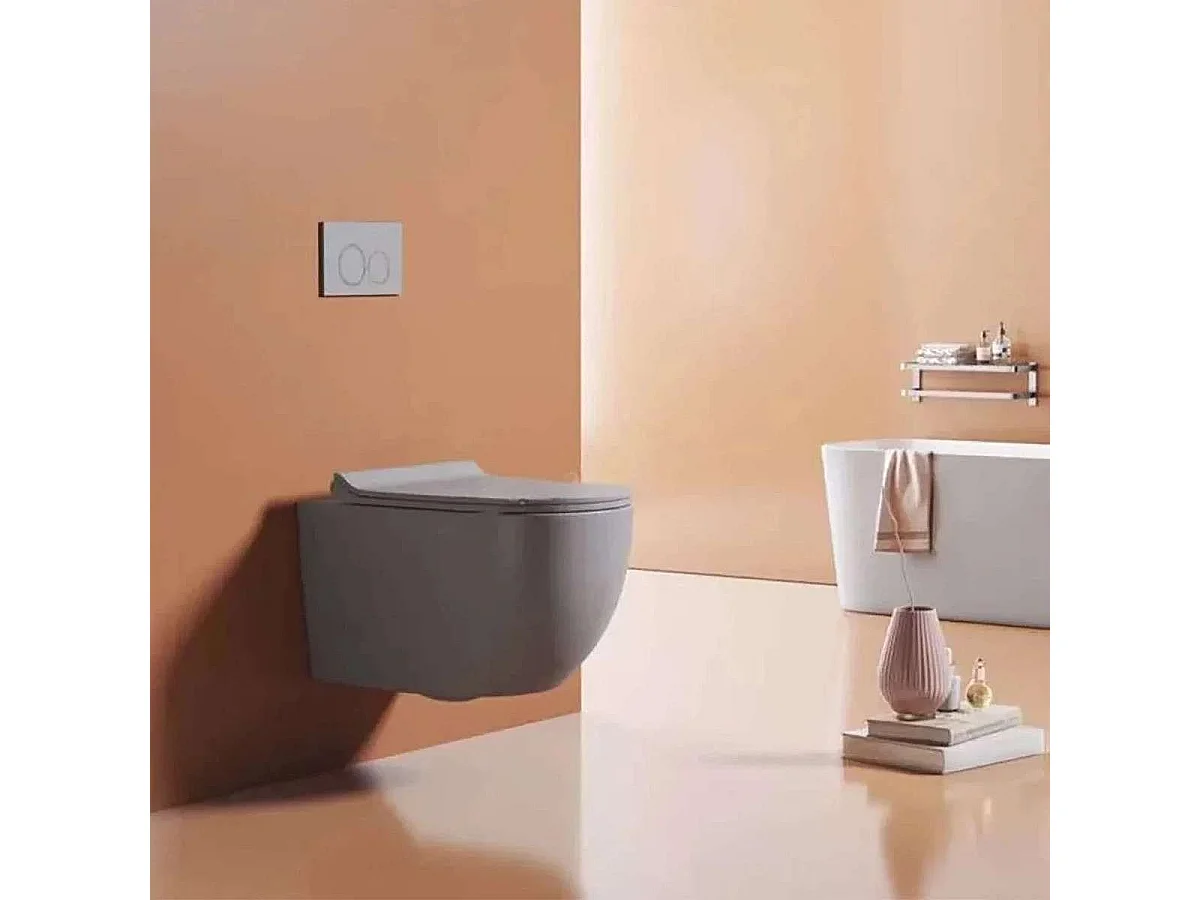 Moderne Grijze Wandhangend Toilet met Soft-Close Zitting en Ondersteuningsframe