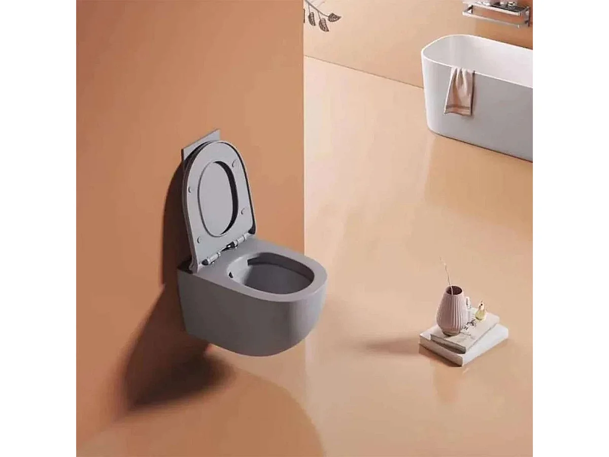 Moderne Grijze Wandhangend Toilet met Soft-Close Zitting en Ondersteuningsframe