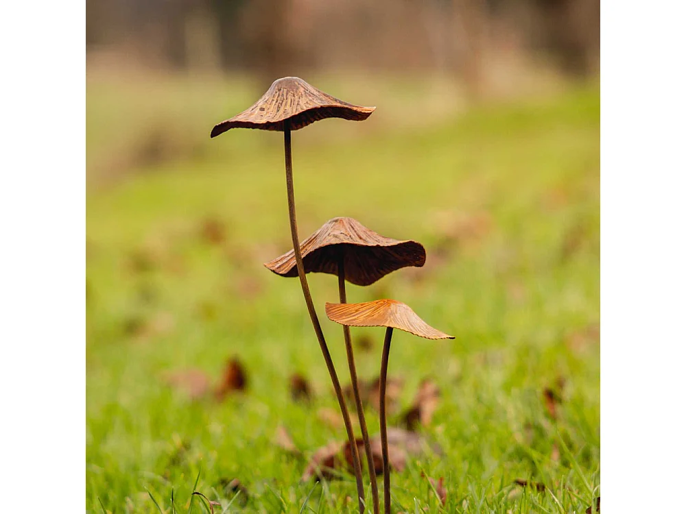 Champignon sur pic en métal rouillé Modèle S