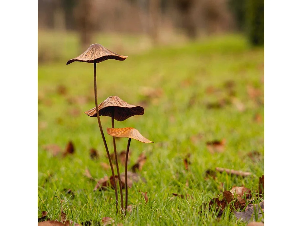 Champignon sur pic en métal rouillé Modèle S