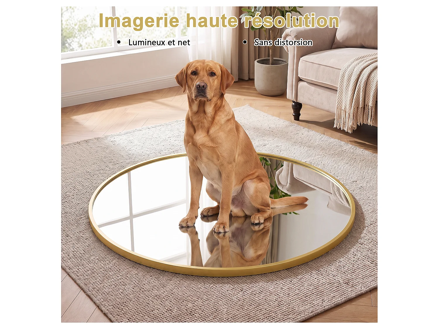 Miroir Mural Chambre Doré - Grand Miroir Mural Rond 75cm - Verre HD Sans Distorsion - Cadre Renforcé - Accrochage Facile