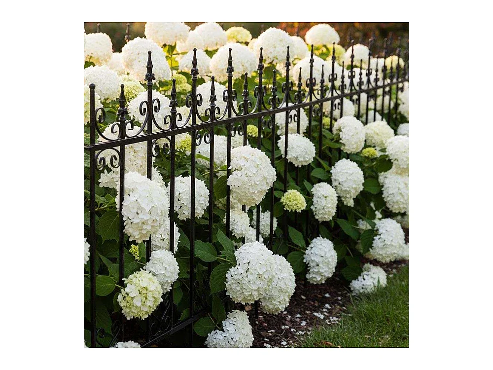 Bordure de jardin  156 x 2.2 x 117 cm Volute