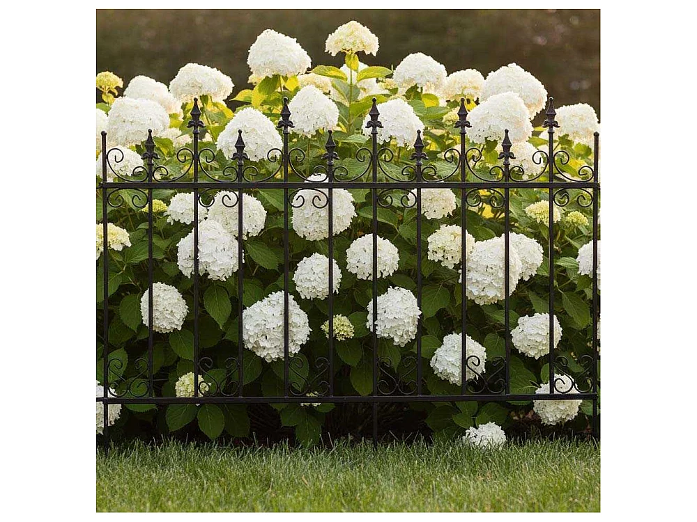 Bordure de jardin  156 x 2.2 x 117 cm Volute
