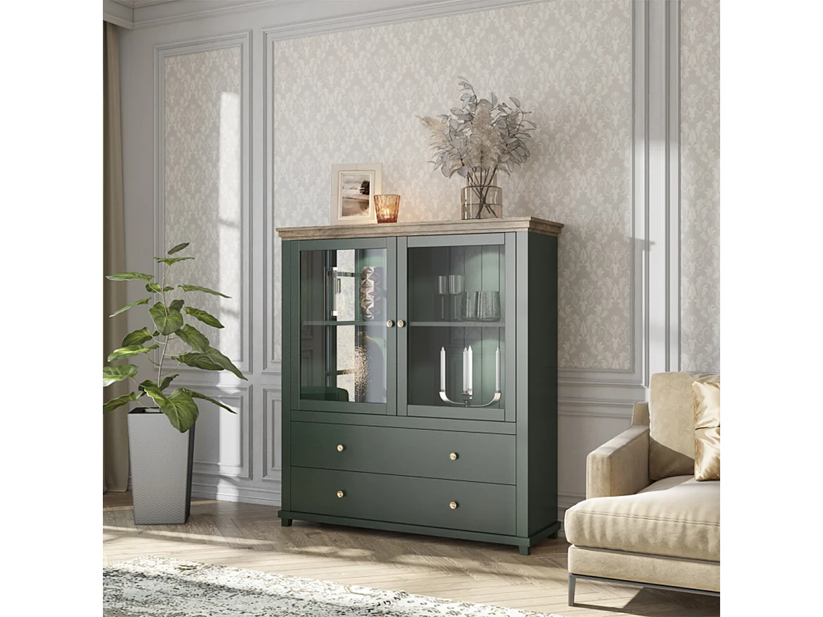 Vaisselier 2 portes 2 tiroirs Martin Vert et Bois