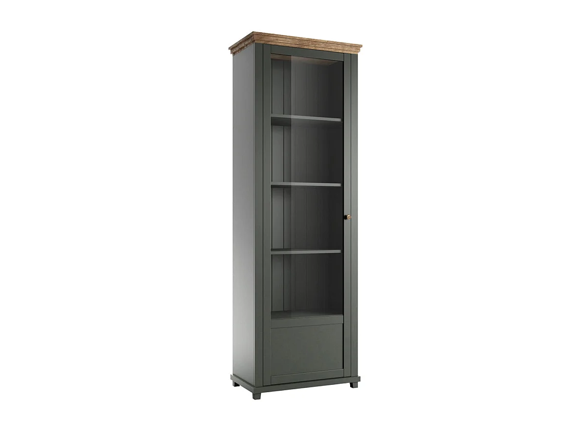 Vitrine 1 porte ouverture gauche Martin Vert et Bois