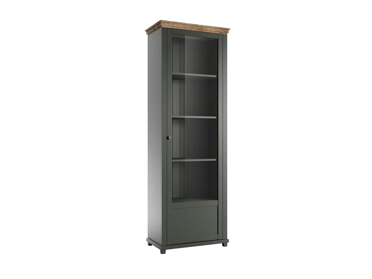 Vitrine 1 porte ouverture droite Martin Vert et Bois