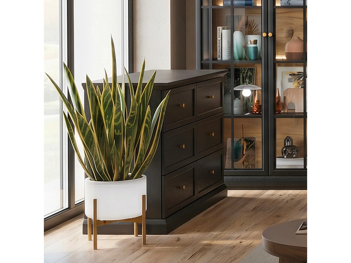 Kommode mit 6 Schubladen Toja Holz anthrazit