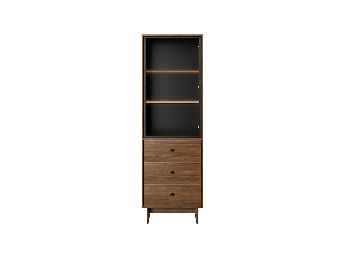 Riyo 1-Door 3-Drawer Display Cabinet Dark Wood