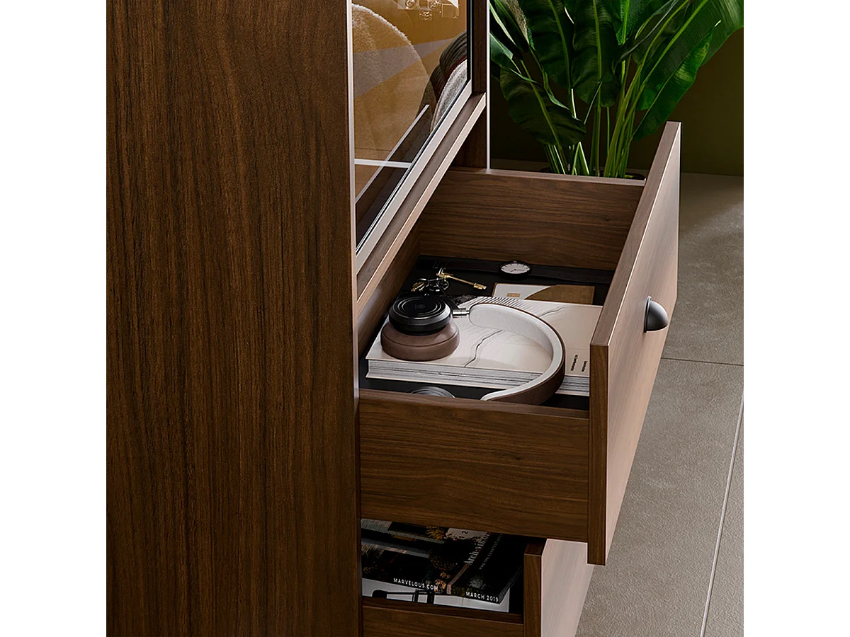 Riyo 1-Door 3-Drawer Display Cabinet Dark Wood
