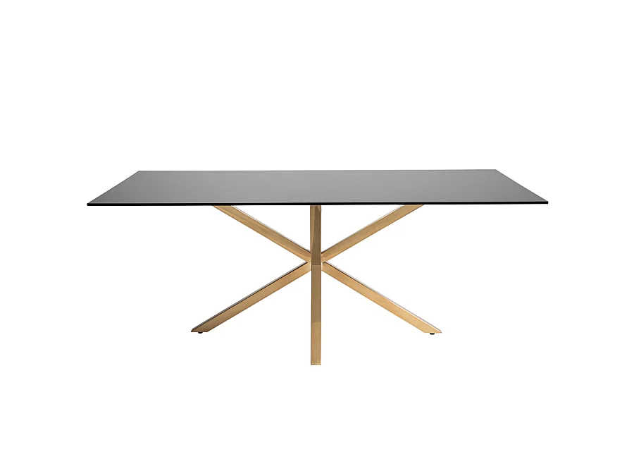 Aster Brass Dining Table - Rectangular 200x100x76 cm, Toughened Black Glass Top, Electroplated Brass Steel Legs