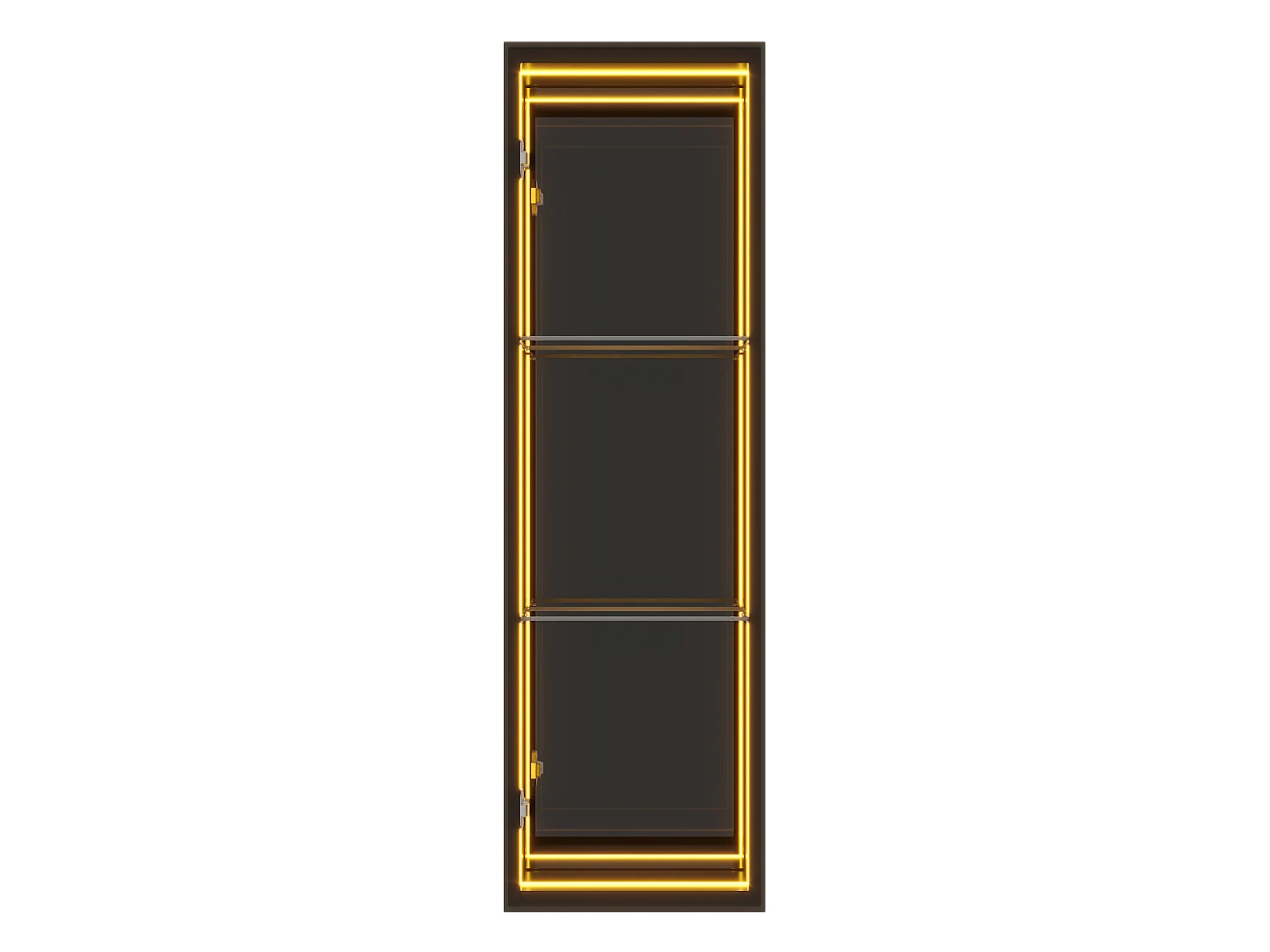 Vitrine mit 1 Tür – umlaufende LED-Beleuchtung – 30 x 30 x 90 cm – MDF, Glas und Aluminiumlegierung – Tür mit Soft-Close-Mechanismus – Schwarz