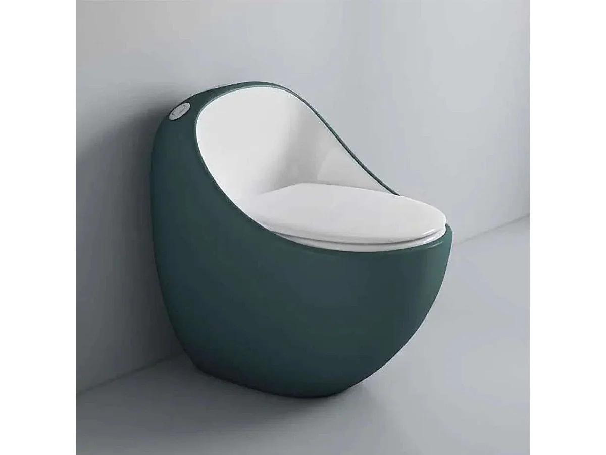 WC monobloc sans bride vert et blanc | Design moderne