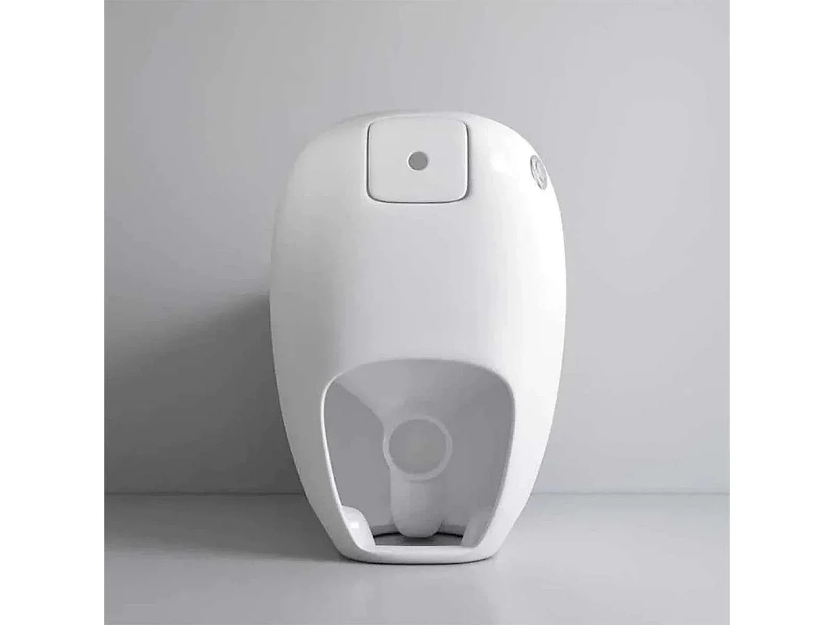 Toilette Monobloc sans bride, moderne