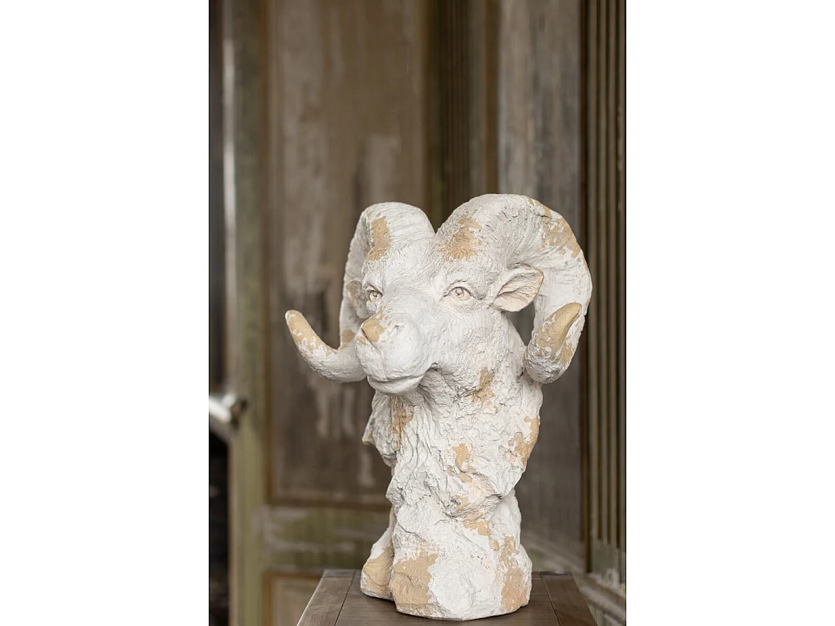 Tête de Bélier Extérieur "Rémi" 58cm Beige