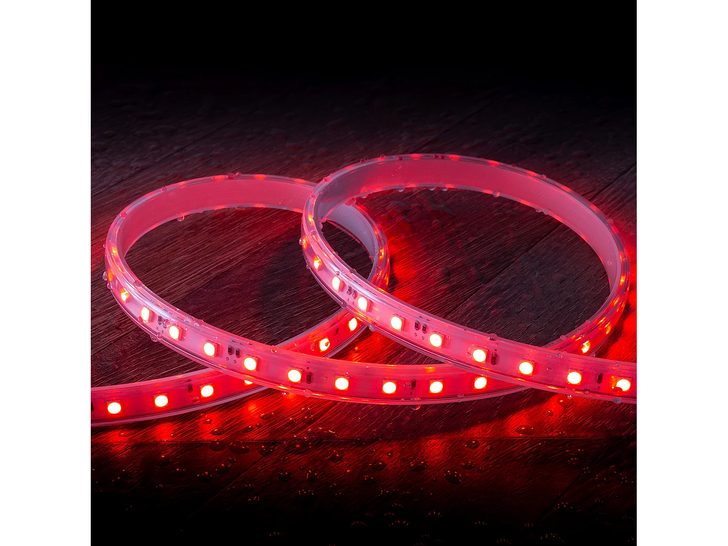 Ruban LED RGB 220V SMD 60 LED/m 9.5W/m Largeur 14.5mm Coupe 100cm IP65 avec Télécommande RF Sur Mesure RGB 25 m