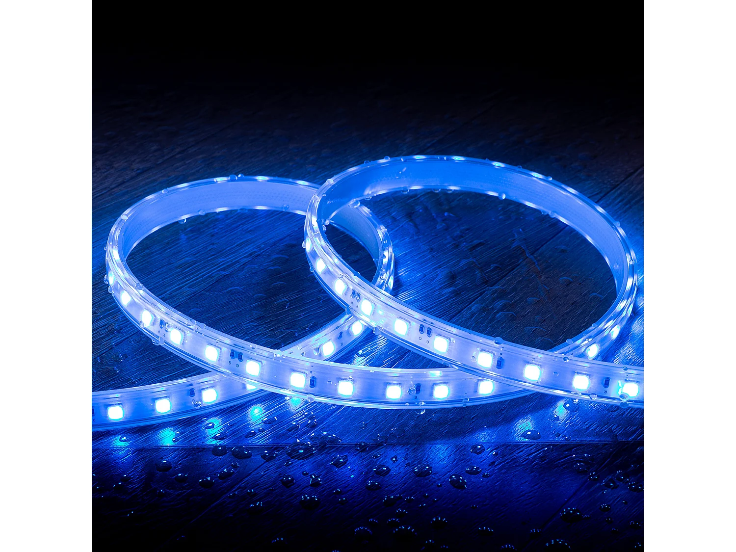 Ruban LED RGB 220V SMD 60 LED/m BOBINE 50m 9,5W/m Largeur 14,5mm Coupe 100cm IP65 avec Télécommande IR RGB