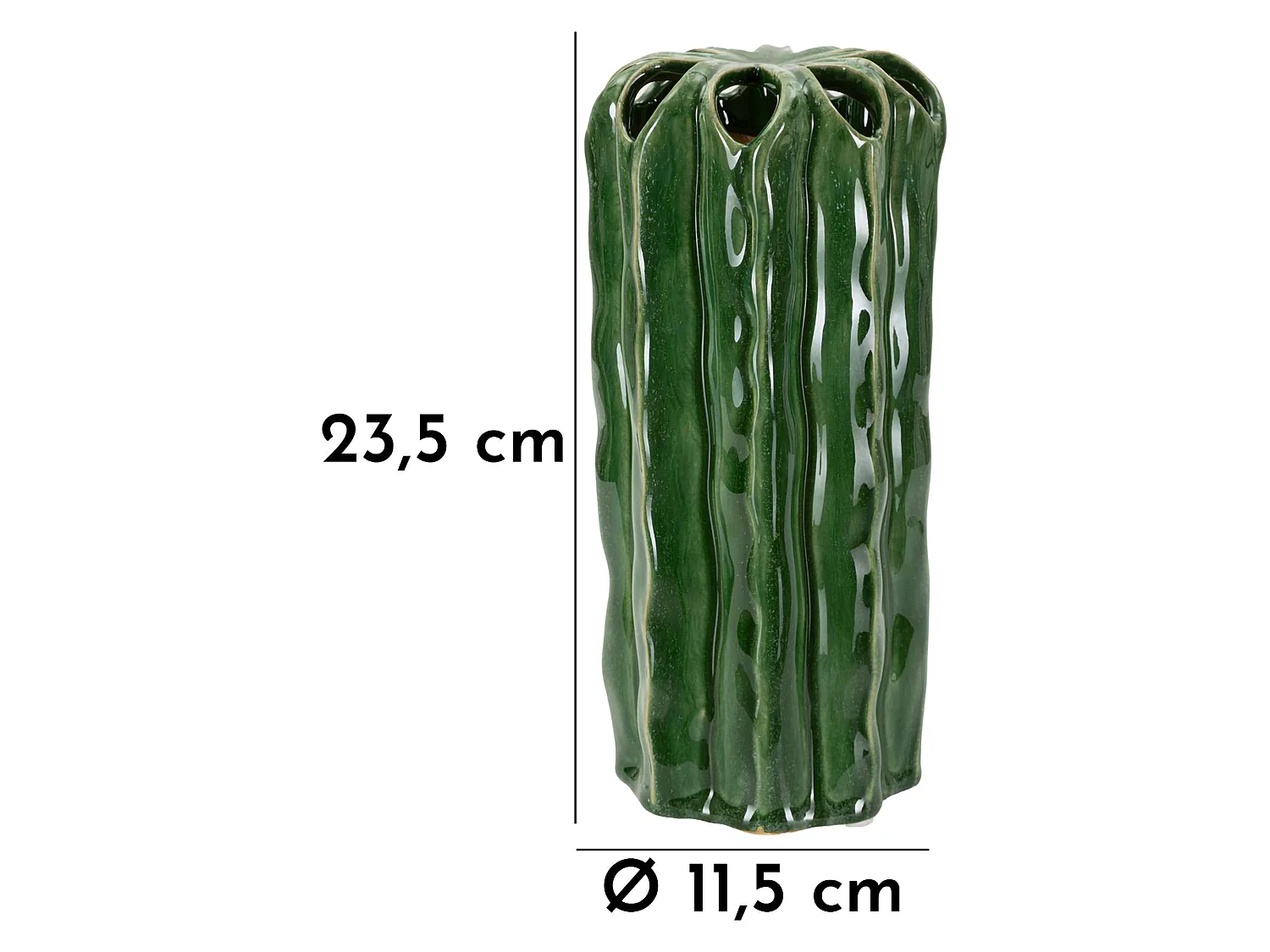 Vaso Basi, Disegno con Cactus, Verde,