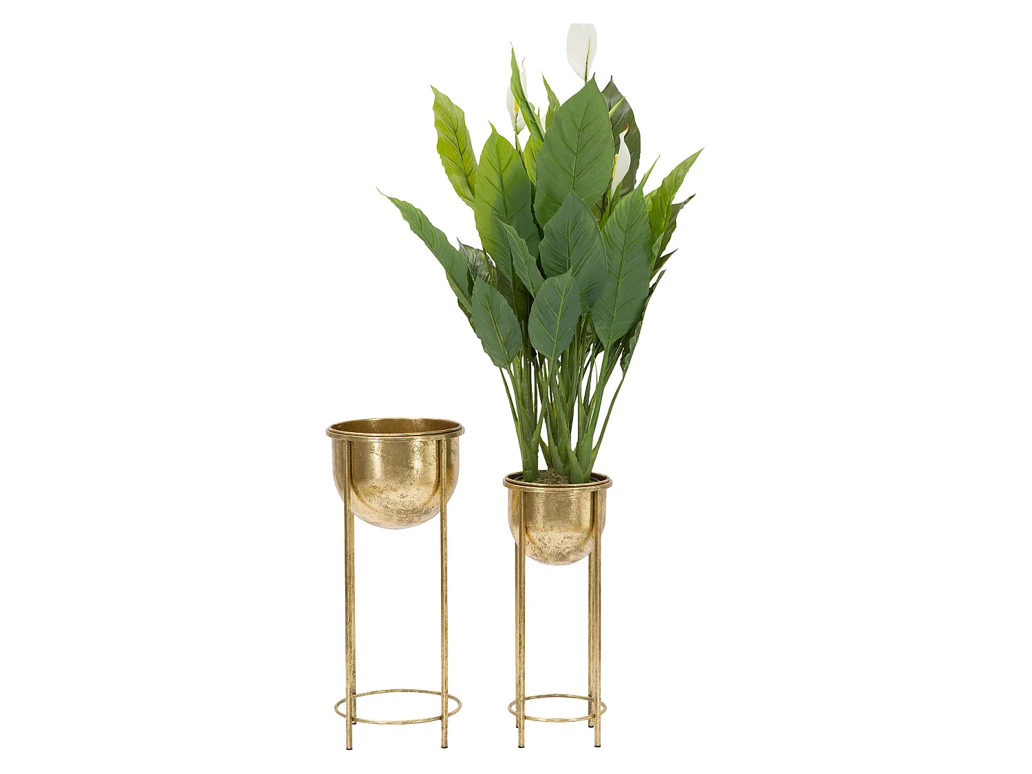 Vaso Twizel, set 2 Vasi, Portavasi Rimovibili, oro, Diametro Vaso Grande: 26, Vaso Piccolo: 20 cm