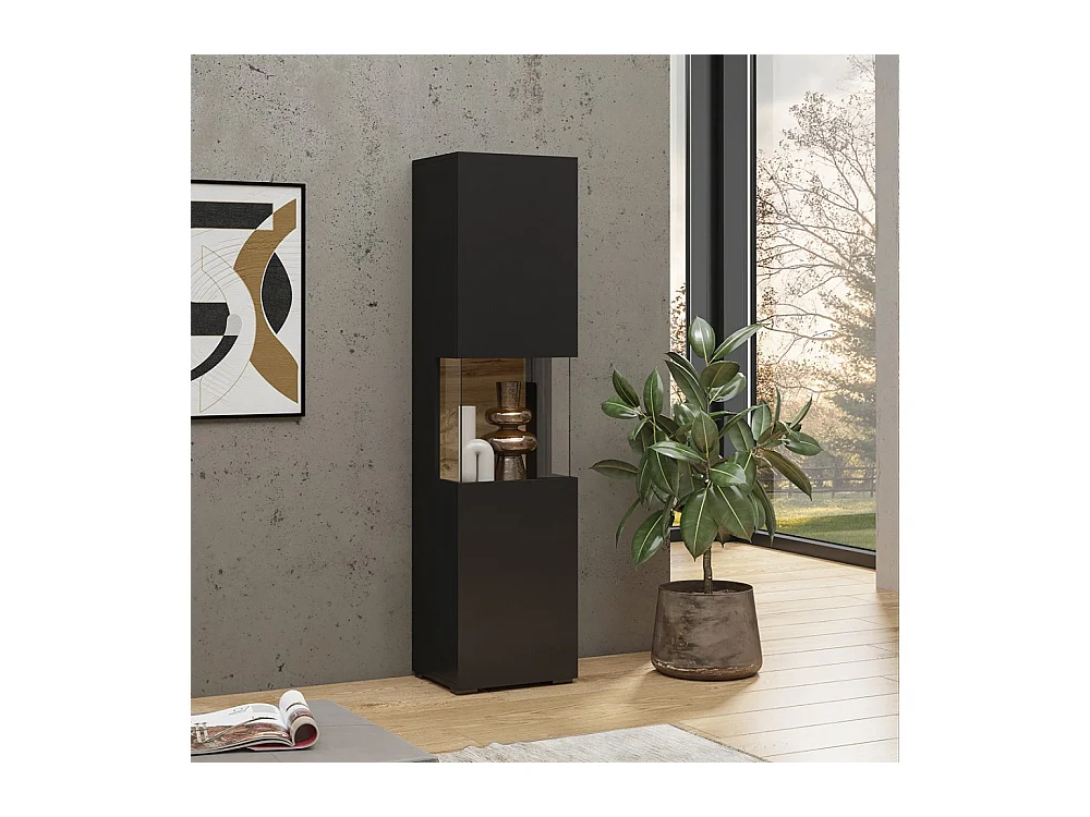 Vitrina 1 porta parcialmente envidraçada coleção EVA. Cor preta e carvalho.