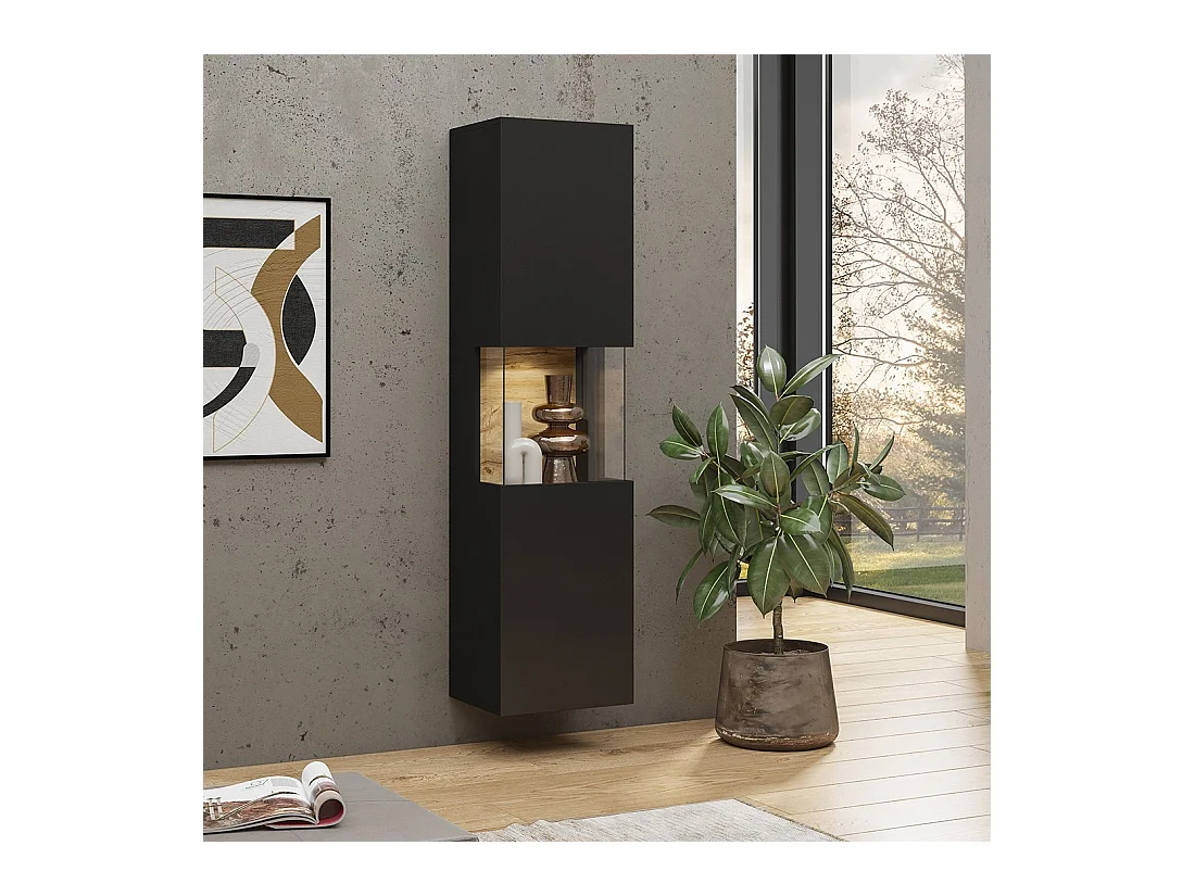 Vitrina 1 porta parcialmente envidraçada coleção EVA. Cor preta e carvalho.