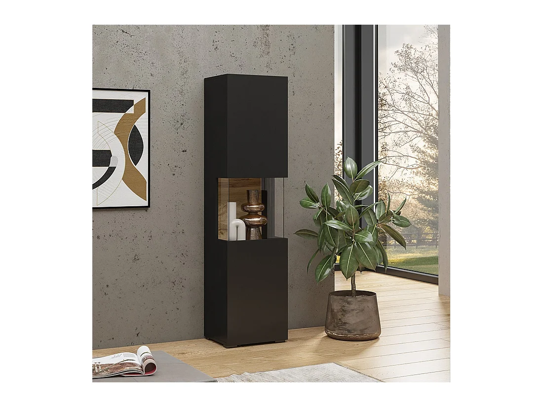 Vitrina 1 porta parcialmente envidraçada coleção EVA. Cor preta e carvalho.