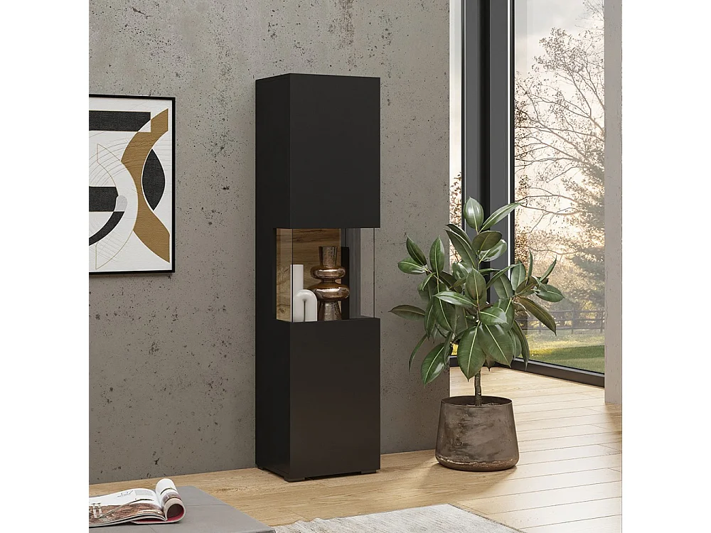 Vitrine 1 porte partiellement vitrée collection EVA. Couleur noir et chêne.